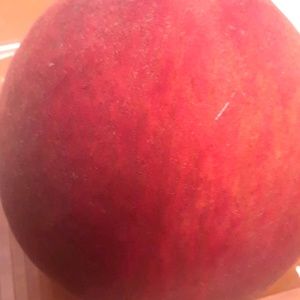 Meet your Posher, Tami